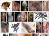 Значение татуировки грифон
